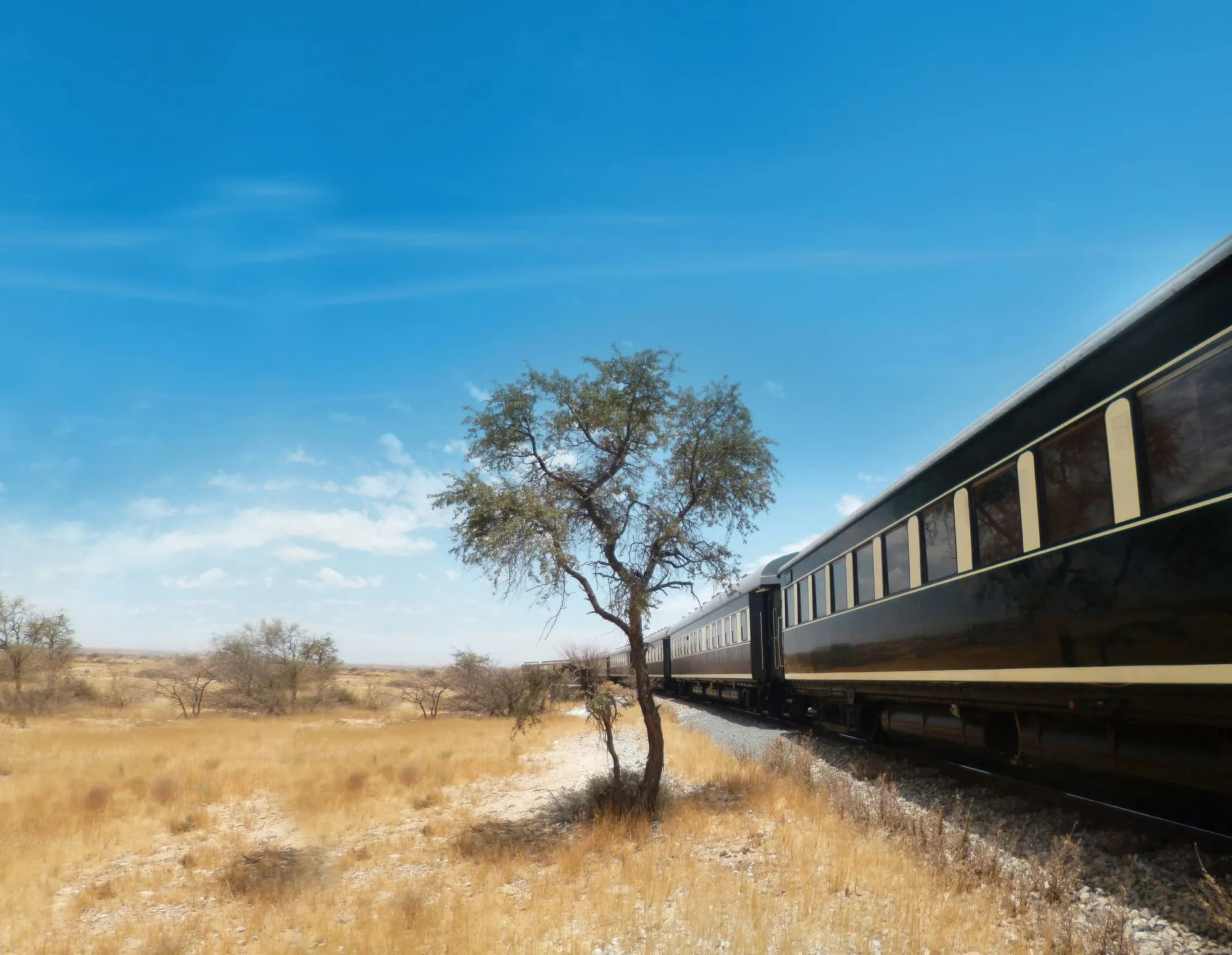 Der African Explorer neben einem einzelnen Baum in der trockenen Savanne