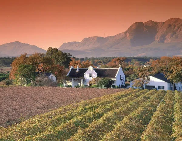 Weingut mit kapholländischem Herrenhaus vor Bergkulisse